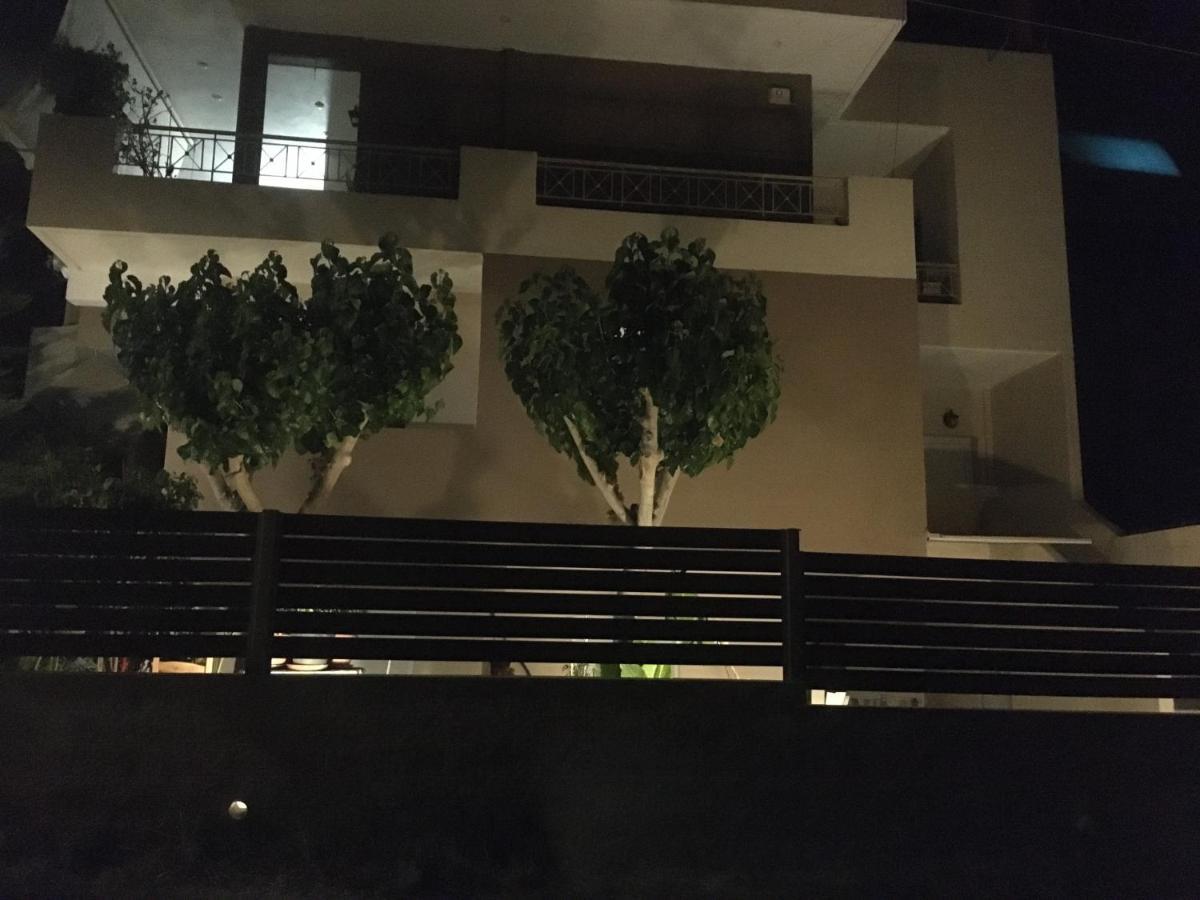 Theo Apartments 1 Артемида Екстериор снимка